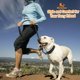 thumbnail image 4 of Typpkmm Dog Collar with Durable Adjustable Military Pet, 4 of 7