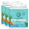 Sunwarrior - Vegan Collagen Building Protein Peptides with Hyaluronic Acid & Biotin - Natural - (3 Pack)