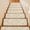 Beige, variant on Beige Starfish Stair Treads Non Slip for Steps Coastal Summer Ocean Beach Nautical Modern 4 Pcs Reusable Adhesive Stair Runner Mats for Dogs Elders Carpet Treads Rugs for Staircase 8x30 In