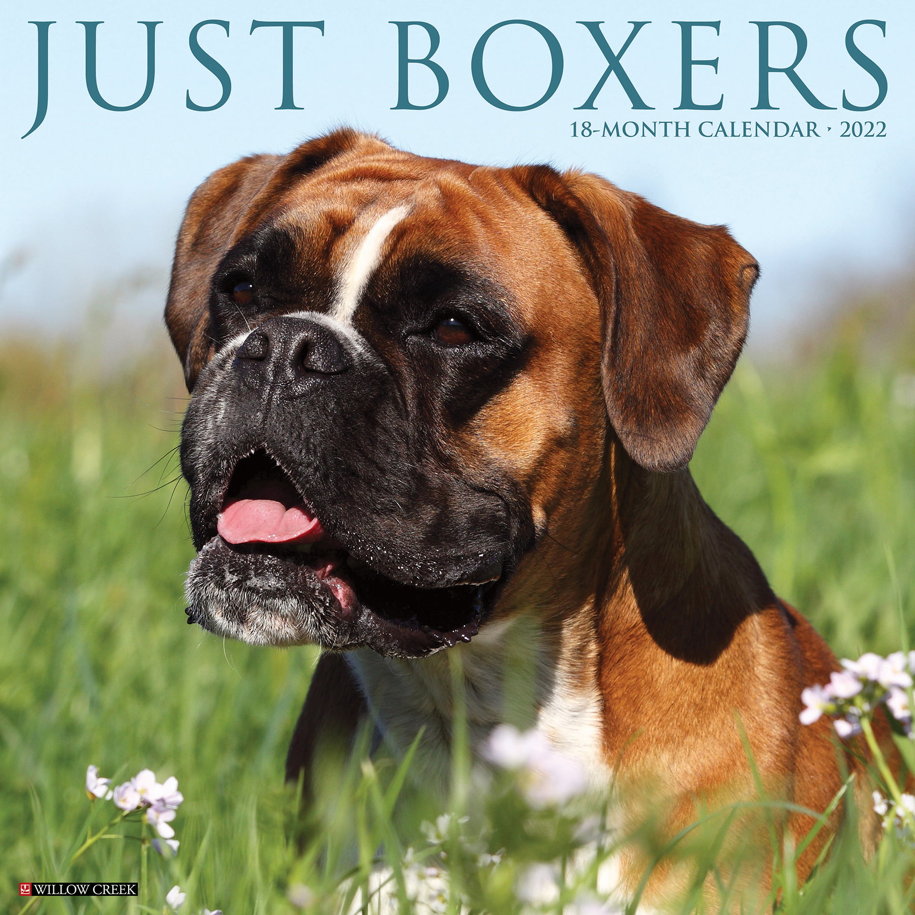 Calendar 2021 Premium Dog Breed Calendars Boxer Euro 