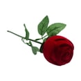thumbnail image 1 of Caja de anillos de rosas Yuyangstore regalo de San Valentín creativa romántica Rojo, 1 of 8