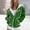 Green, variant on Zip Up Hoodie Women, Graphic Hoodies, Y2k Hoodie, Jackets for Women, Hooded Sweatshirts for Women, Green M