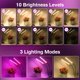 thumbnail image 1 of Luz de crecimiento de plantas de 20 W, luz de planta de interior de 40 LED, 9 niveles de brillo y sincronización automática, LED de crecimiento de flores ajustable de 360 ??° para plantas LingWen 8390615905282, 1 of 1