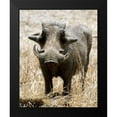 thumbnail image 2 of Underdahl, Dana 12x14 Black Modern Framed Museum Art Print Titled - Warthog, 2 of 5