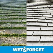 Wet And Forget Moss, Mold, And Mildew Control3