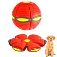 thumbnail image 1 of The Doggy Disc Ball, 1 of 3