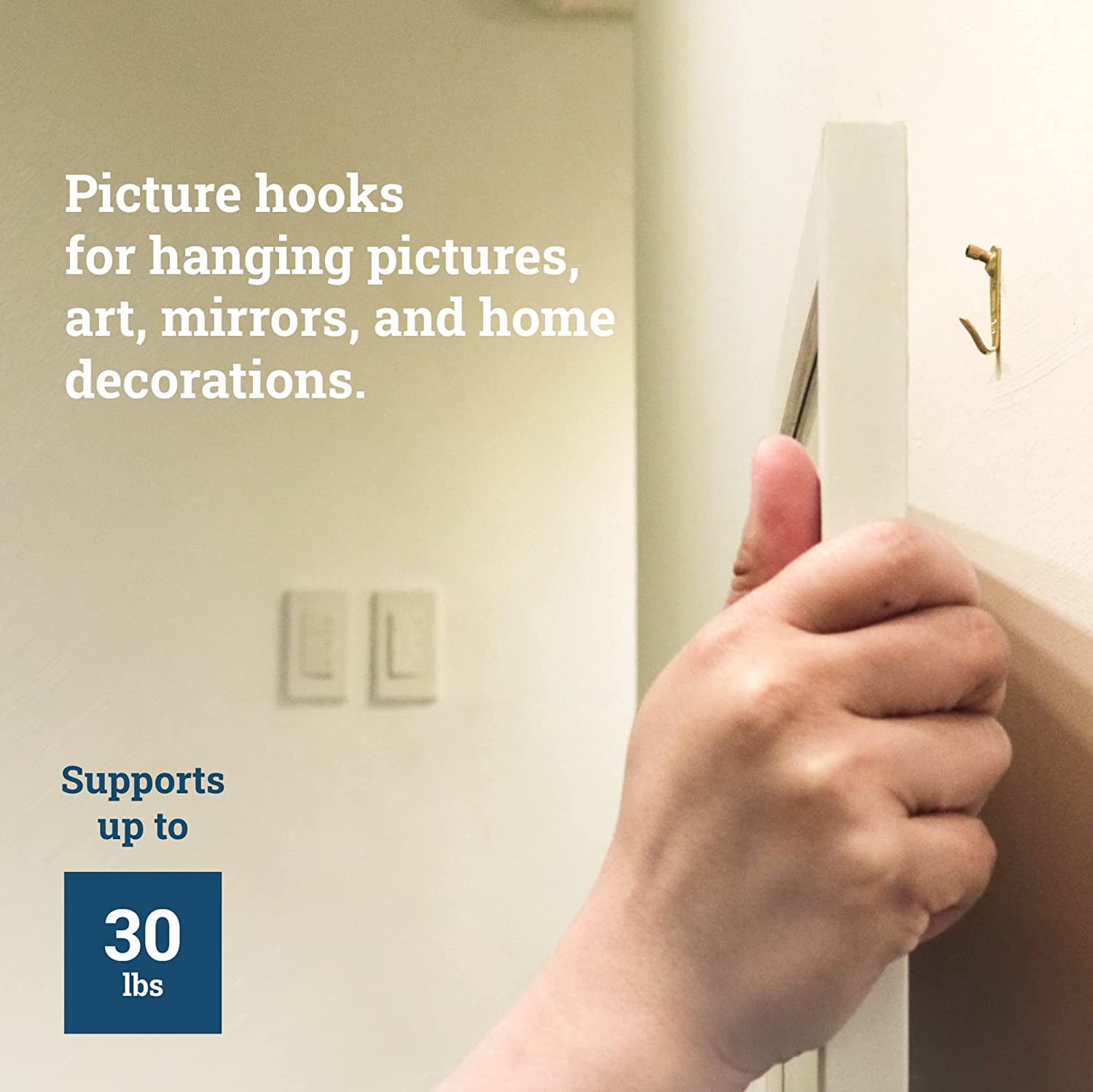 FEFEFW-PHS - Professional Plaster Wall Picture Hangers 30 lbs - 25 Pack - Heavy Duty Picture Hooks for Drywall - Frame Hanging Hardware - Art Hooks for Wall - Secure Picture Hanging Kit