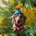 thumbnail image 2 of KCEHTA Dachshund Christmas Ornaments, Dachshund Ornaments for Christmas Tree, Acrylic Dachshund Pendant Christmas Hanging Ornament Cute Dachshund Dog Xmas Tree Decorations for Dog Lovers, 2 of 6