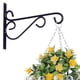 thumbnail image 1 of leyfeng Ganchos colgantes para plantas Ganchos de pared de hierro decorativos Perchas colgantes para plantas para exterior Interior Jardinera Pájaro, 1 of 7