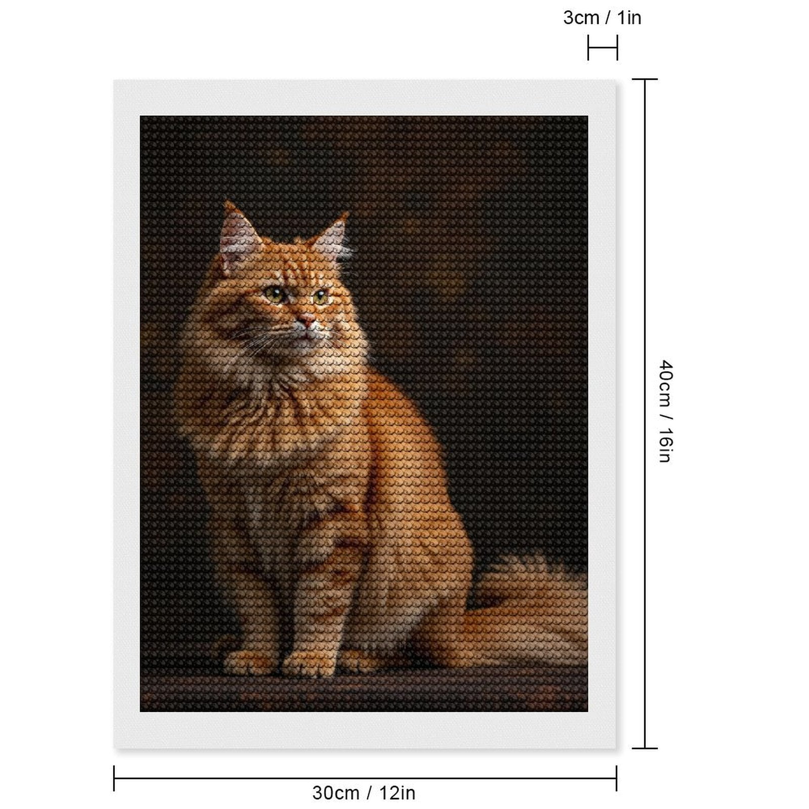 Diamond Art Kits for Adults, Orange Tabby Cat Portrait Majestic 5D Diamond Painting Kits for Adults Beginners, DIY Full Drill Diamond Painting, Gem Art and Crafts 12x16