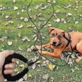 thumbnail image 3 of Reflective Function Dog Training Leash, Long Dog Leash with Soft Handle for Outdoor Dog Leash Adventures with Your Husky, Labrador, or Golden, 3 of 5