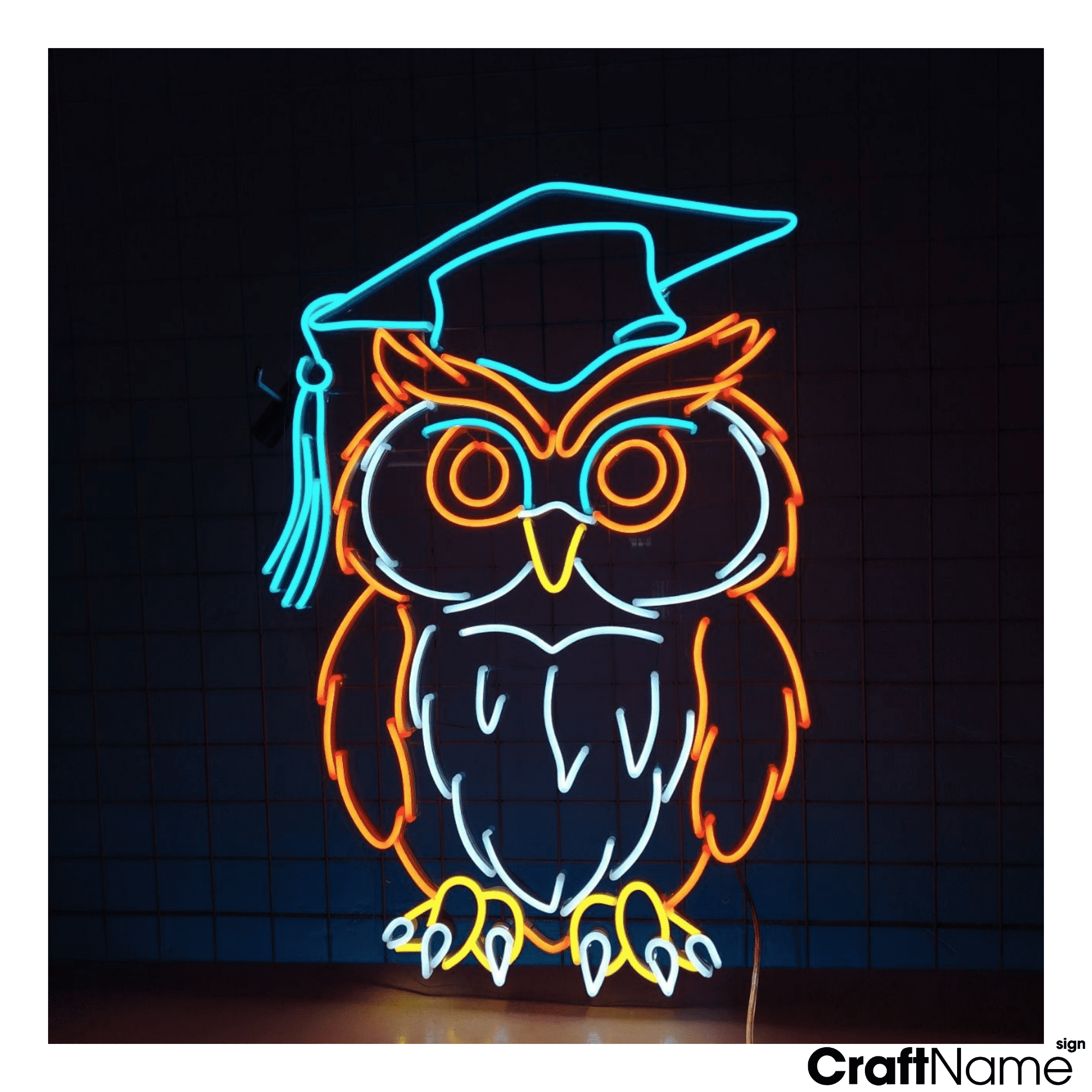 Craftnamesign Owl Graduation Cap Neon Light Wall Sign For Classroom Decoration