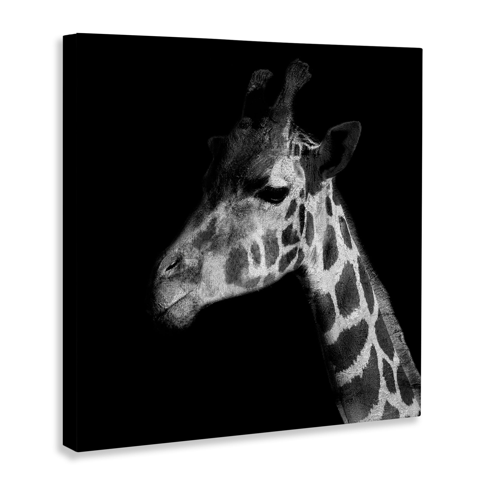 Stupell Industries Jungle Giraffe Portrait Animals Photography Wrapped Canvas Art Print Wall Art, 24 x 24