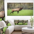 thumbnail image 1 of Trophy Bull Elk in Green Grassland - Large Animal Canvas Artwork, 1 of 4