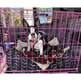 thumbnail image 5 of 24 Inches Double Door Crate, Wire Dog Crate with Plastic Pan, Medium Dogs Cage for Bedroom, Apartment, Pet shop, Home, RV, Living Room, Pink, 5 of 5