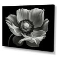 thumbnail image 2 of Designart "Monochrome Misty Poppies" Poppies Wall Decor, 2 of 7