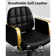 thumbnail image 3 of Baasha New Black and Gold Salon Chair, Hair Stylist Chair with Comfortable Memory Cushion, 360°Swivel Styling Chair for Hair Stylist, Weight Capacity Up to 440 lbs -Black, 3 of 7