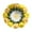 C #6, variant on Vaidha Knitted Flower Woven Of The Valley As A Mother And Girlfriend