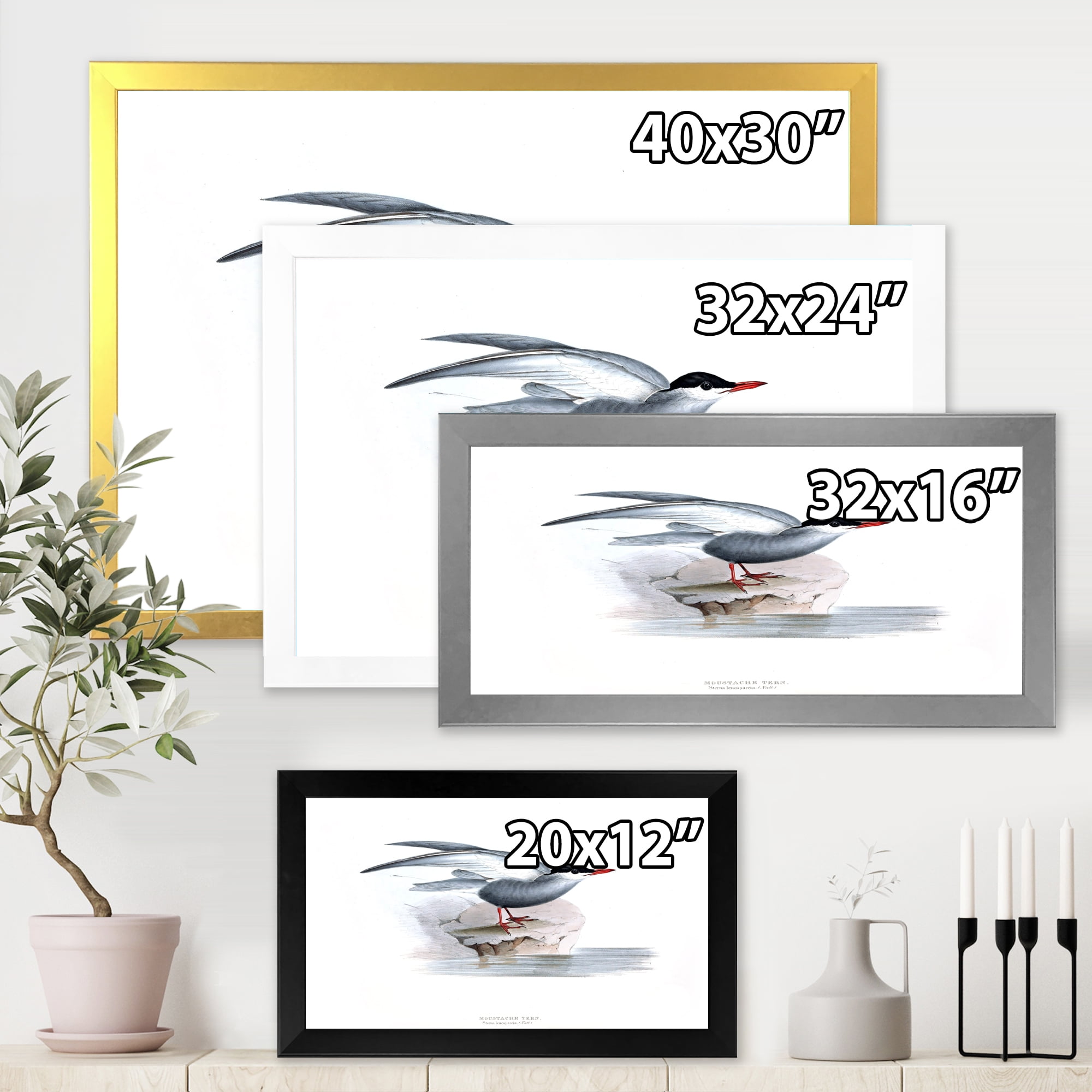 Designart 'Ancient Bird Of Europe I' Traditional Framed Art Print