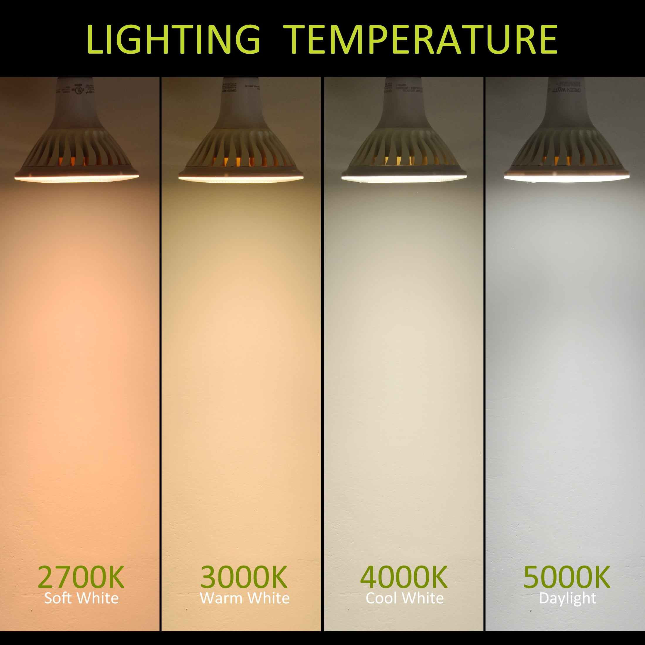 Green Watt 20 Watt (150 watt equiv) PAR38 LED Light Bulb, E26 Base, 1700 Lumen, Daylight White, 12-Pack