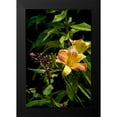 thumbnail image 2 of Johnson, George 17x24 Black Modern Framed Museum Art Print Titled - Pink and Yellow Lily, 2 of 5