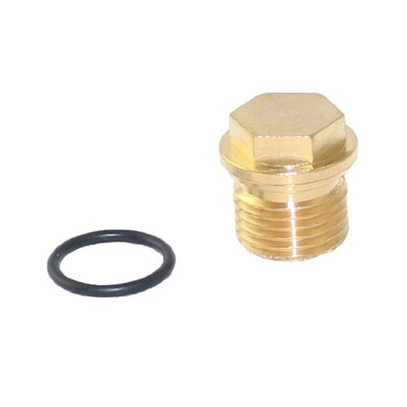 Genuine Briggs & Stratton 201495GS Pressure Washer Pump Plug OEM