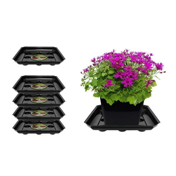 Curtis Wagner Plastics Designer Series Plant Saucer (5-Pack) - Black, Square (Diameter: 9.25" Base, 12" Top, 1.62" Depth) Thick Plastic Plant Drip Trays - Used as Indoor Pot/Outdoor Plant Saucers