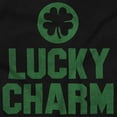 thumbnail image 2 of Saint Patricks Lucky Charm Shamrock Unisex Plus Fleece Graphic Hoodie Brisco Brands 5X, 2 of 3