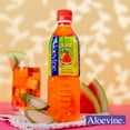 ALOEVINE Aloe Vera Juice drink Watermelon pure with chunks of aloe | 16 ...