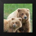 thumbnail image 2 of PHBurchett 12x12 Black Modern Framed Museum Art Print Titled - Bear Life III, 2 of 5