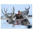 thumbnail image 2 of Montana Decoy Muley Buck Deer Decoy, 2 of 4