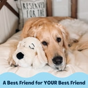 Original Snuggle Puppy Heartbeat Stuffed Toy for Dogs. Pet Anxiety Relief and Calming Aid, Comfort Toy for Behavioral Training in Golden