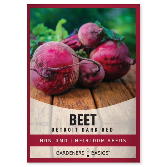 Detroit Dark Red Beet Seeds