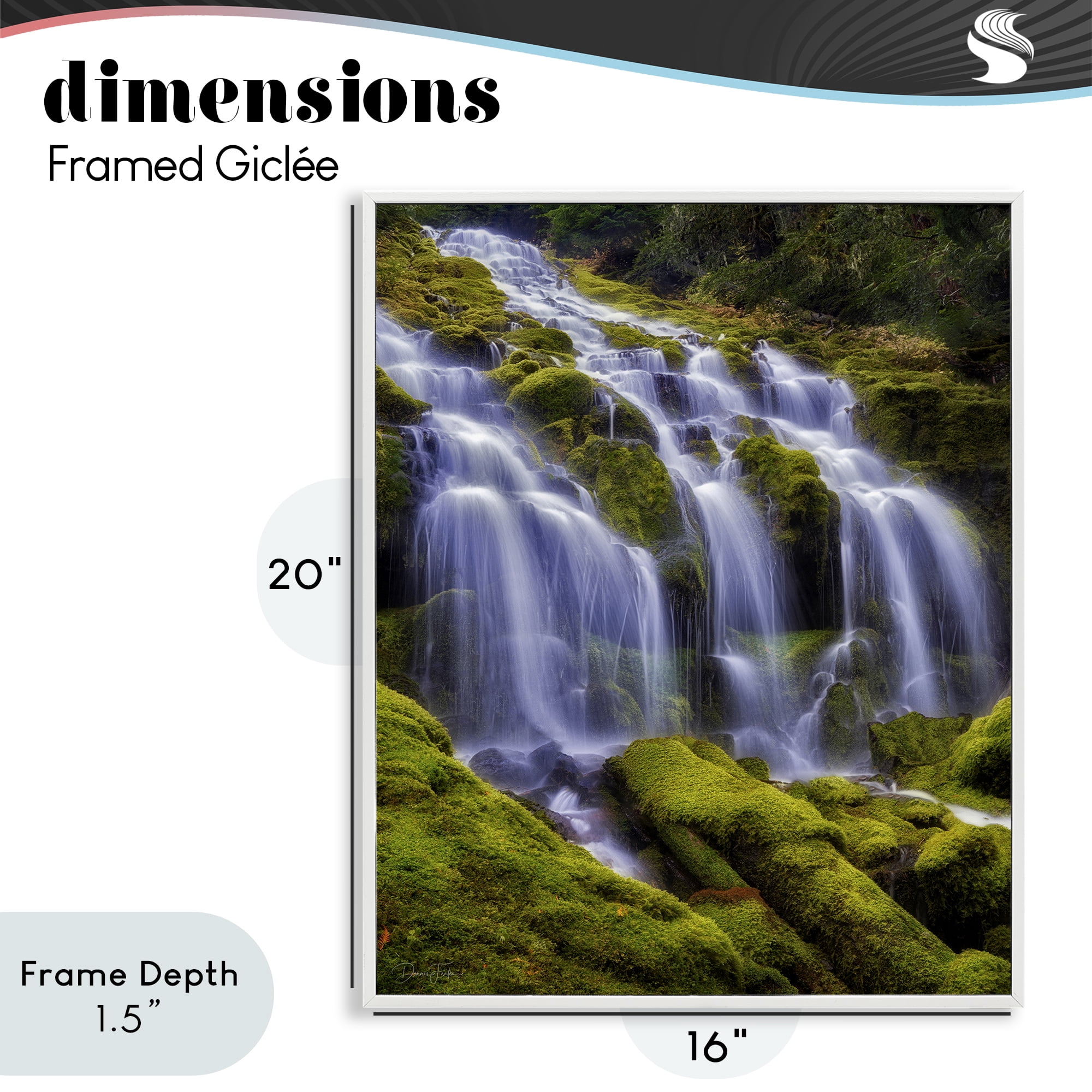 Stupell Industries Upper Proxy Falls White Framed Giclee Art, design by Dennis Frates