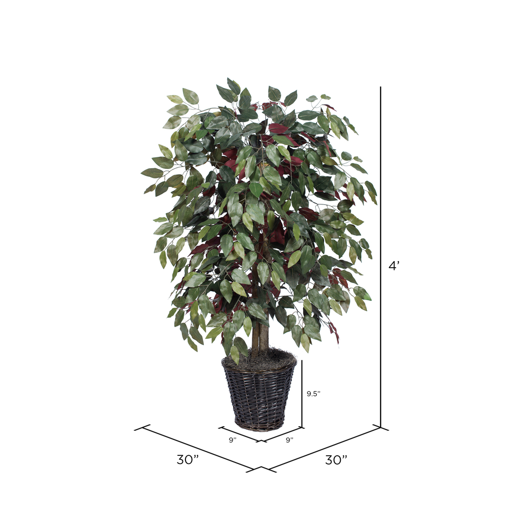 Vickerman 4-Feet Artificial Capensia Bush in Decorative Rattan Basket - Artificial Capensia Bush in Brown Rattan Basket - 4-Foot Tall Faux Ficus Bush - Realistic-Looking Fake Tree for Indoor Decor - image 3 of 6