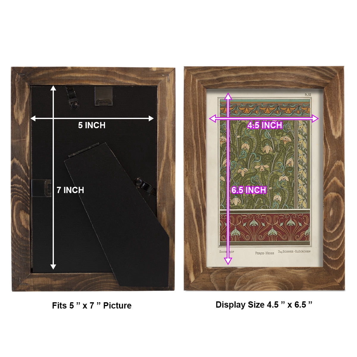 Nouveau Decorative VI - Framed Print w/glass - Walnut