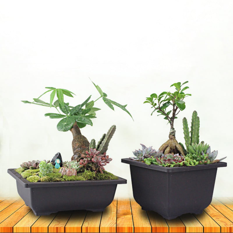 Nursery Square Pots 5 Flower Plastic Planter Succulent Plant Seed Bonsai Durable 