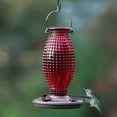 thumbnail image 2 of Perky-Pet Red Hobnail Vintage Hummingbird Feeder - 16 oz, 2 of 7