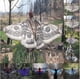 thumbnail image 2 of Capa de Halloween, toalla de playa, falda envuelta, capa de mariposa, decoración, capa de mariposa, capa de mariposa, 2 of 3