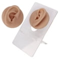 thumbnail image 4 of Ear Model for  Practice, Soft Silicone Ear Picks  Practice Body Parts, High Simulation Clear Structure Human Ear Model, Simulated Silicone Ears, 4 of 8