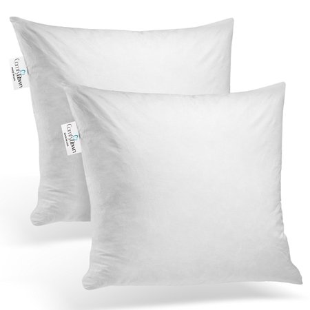 ComfyDown Set Of Two 40% Feather 40% Down 40 X 40 Square Decorative Magnificent 16 Square Pillow Insert ComfyDown Set Of Two 40% Feather 40% Down 40 X 40 Square Decorative Magnificent 16 Square Pillow Insert