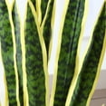 thumbnail image 3 of Yellow 43'' Tall Large Artificial Snake Plant with 9'' White Taper Planter,Plastic Floor Plants Tall Faux Sansevieria Plant with 20 Leaves for Home Bedroom Living Room Bathroom Indoor Outdoor Decor, 3 of 7