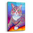 thumbnail image 2 of Epic Art 'Rainbow Brown and White Tabby Cat' by Rebecca Wang Art, Acrylic Glass Wall Art, 16"x24", 2 of 8