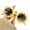 A, variant on Parent Child 4 Sunscreen Beach Eyewear Fall Accessories For Family Outdoor Travel Decorative Design