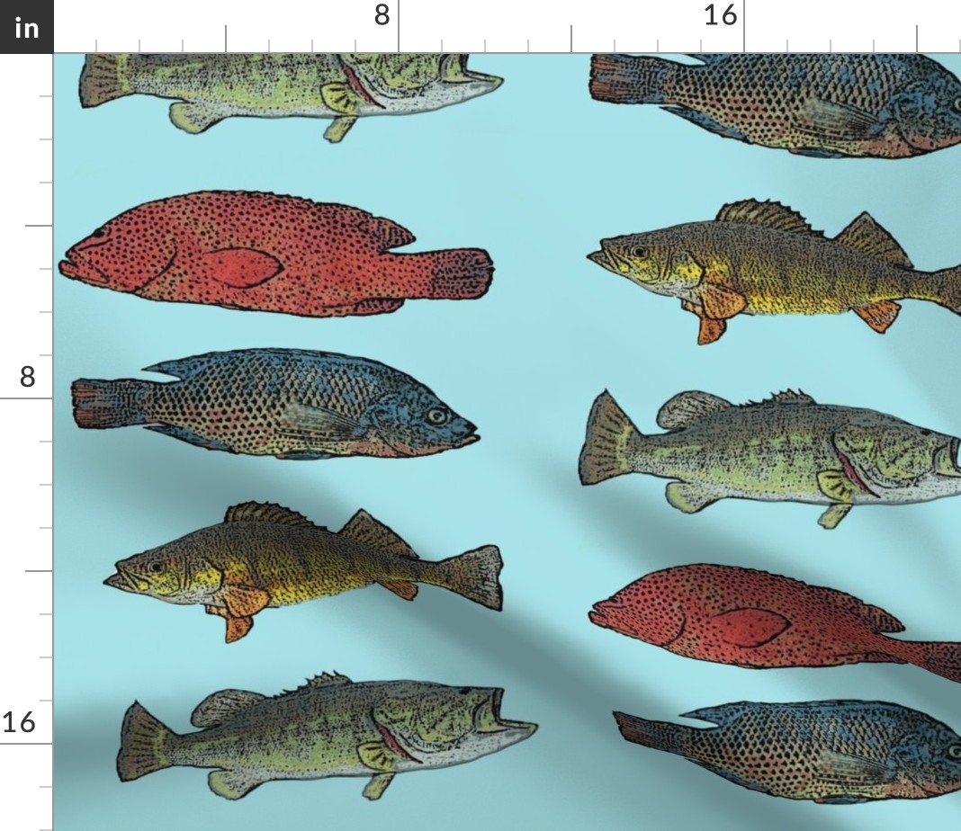 trout fishing pole walmart