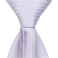 thumbnail image 1 of L2 - 63 in. Adult Necktie - Purple, XL, 1 of 1
