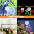 thumbnail image 3 of OULII 2Ud Para Betta En Acrílico Con Para Ejercicio Y Entrenamiento De Peces, 3 of 8