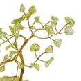thumbnail image 3 of Arbre de Pierres Précieuses - Péridot, 3 of 4