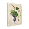 thumbnail image 4 of Canvas Wall Art - Jean Plout 'Luscious Fruit Study C' Wall Art for Living Room, Bedroom, or Office Décor by Trademark Fine Art - 35 x 47 Inches, 4 of 4