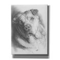 thumbnail image 1 of Epic Graffiti 'Ori-Pei' by Barbara Keith, Canvas Wall Art, 40"x54", 1 of 8